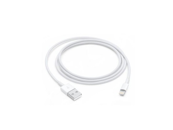 2022年iPhone/iPad蘋(píng)果充電線